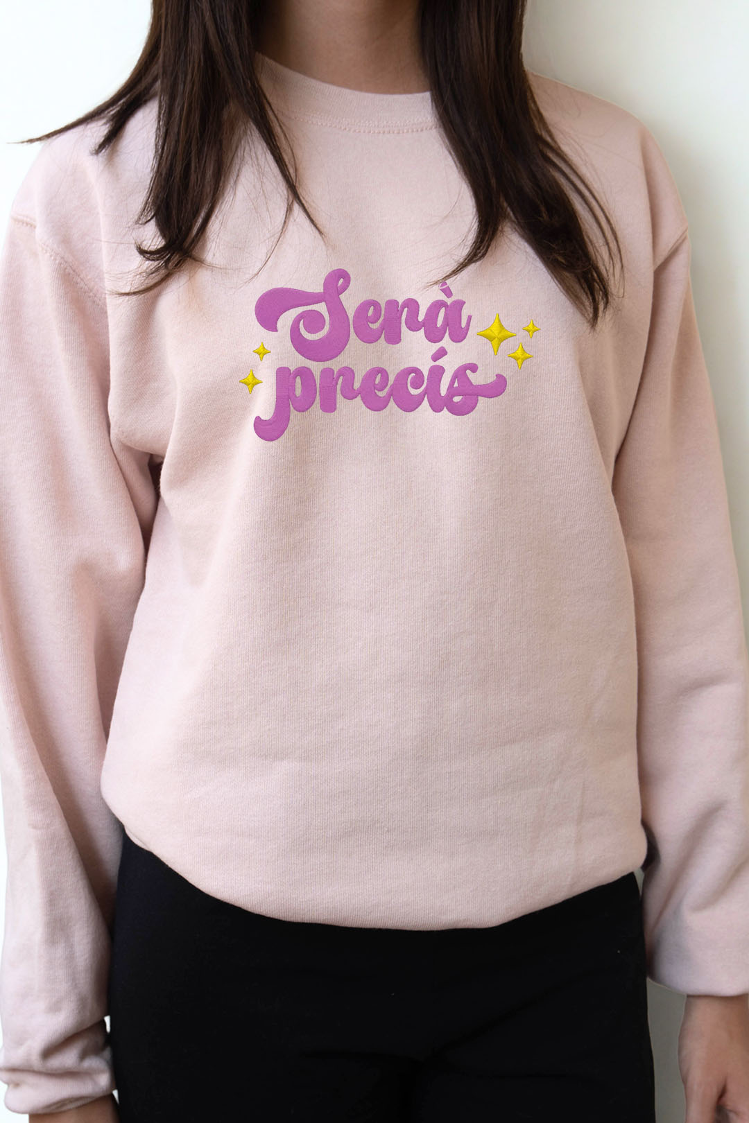 mockup1 Serà Precís - Imatge 1