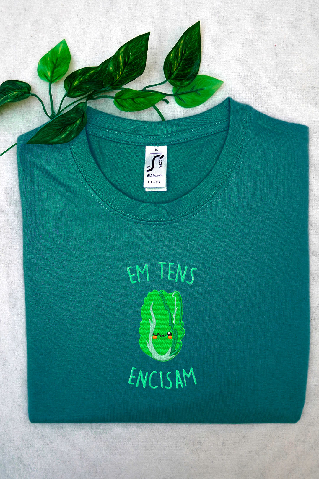 mockup2-25 Em Tens Encisam - Imatge 2