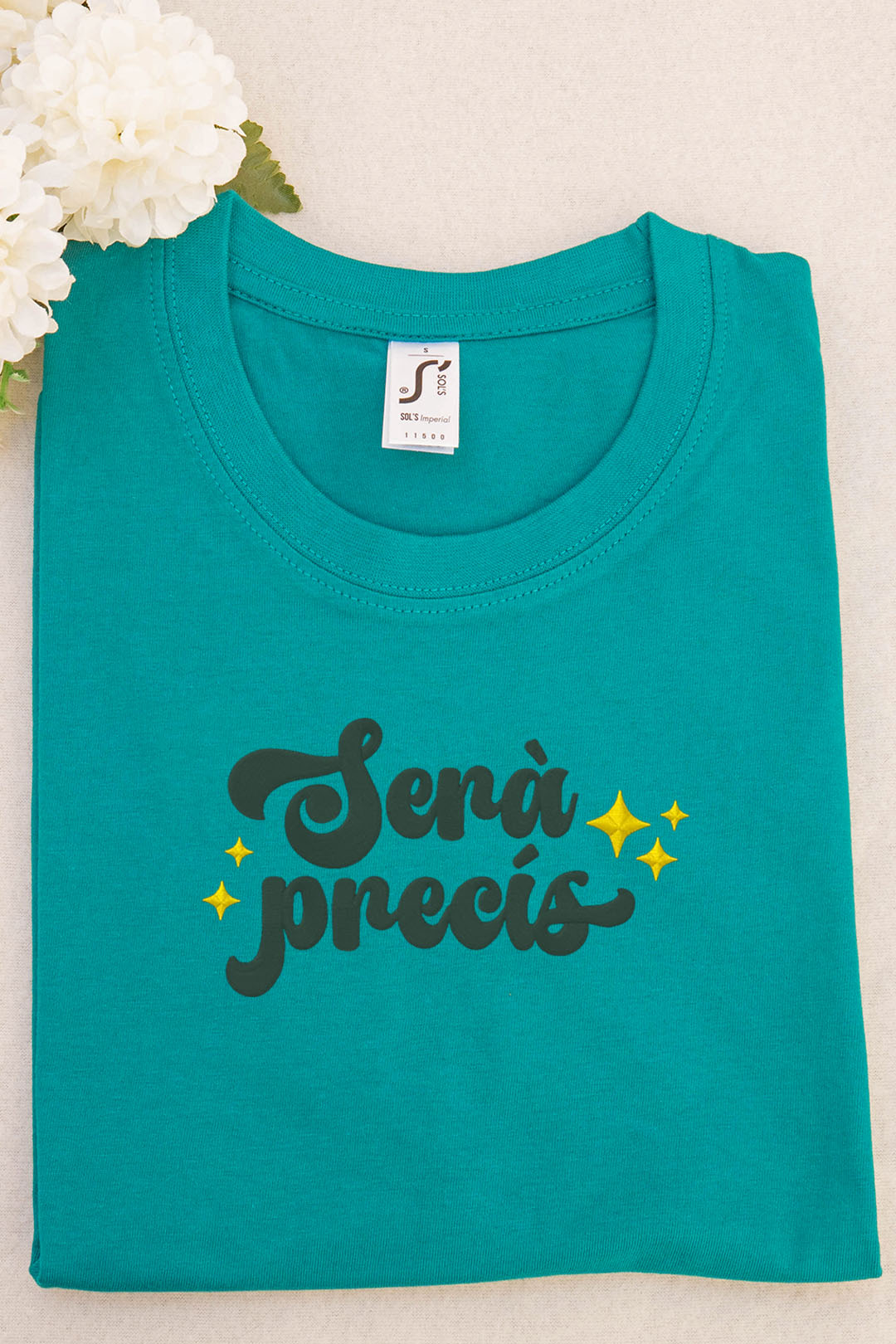 mockup2 Serà Precís - Imatge 2